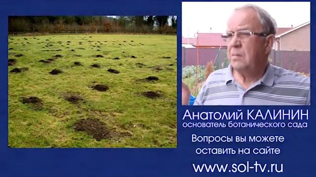 04 08 2014 кроты вредители смотреть онлайн