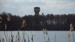 Рыбалка на боковой кивок.  Озеро «Срамное» г. Белоозёрский.