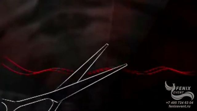Заказать лазерное шоу на корпоратив, конференцию, мероприятие, праздник и новый год Москва
