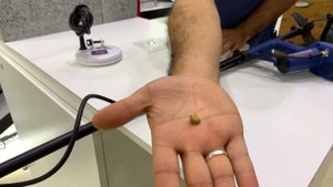 احجام قطع الذهب المستخرجة بجهاز وحش الذهب 1000 - Gold Monster وحش الذهب  1000