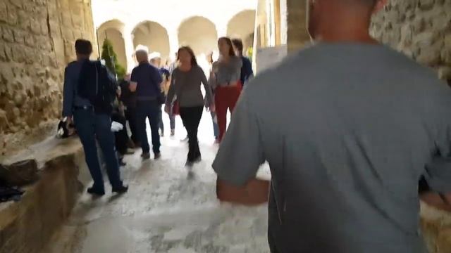ВОСКРЕСЕНЬЕ  в ПРОВАНСЕ | Смотрите ЧЕМ занимаются ФРАНЦУЗСКИЕ СЕМЬИ | Музей НОСТРАДАМУСА