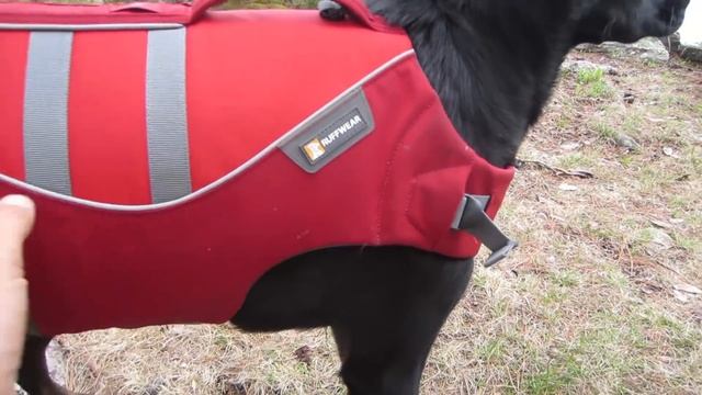 Ruffwear K9 Float Coat dog life jacket review смотреть онлайн