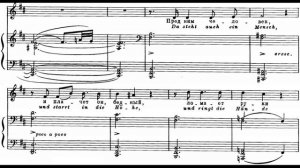 Шуберт  Двойник