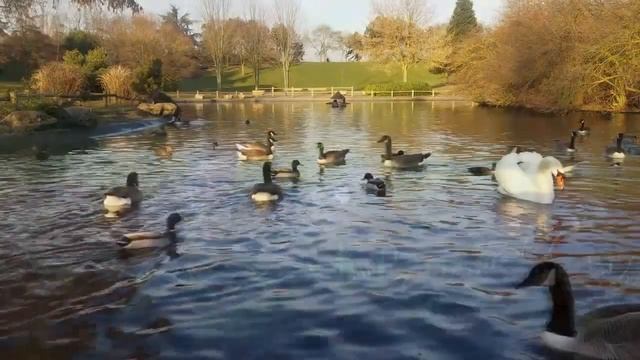 Как прекрасен этот мир смотреть онлайн