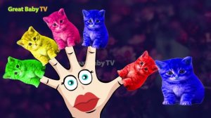 Cute Kitten Cat Colorful Learning Color Video For Kids Finger Family Nursery Rhyme Song