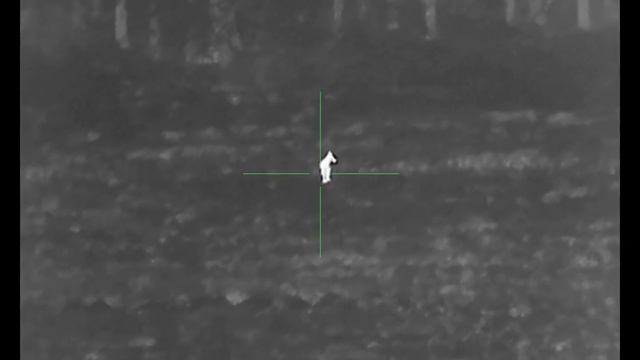 Ночь, лисицы и ... Nordfors XQ-30 смотреть онлайн