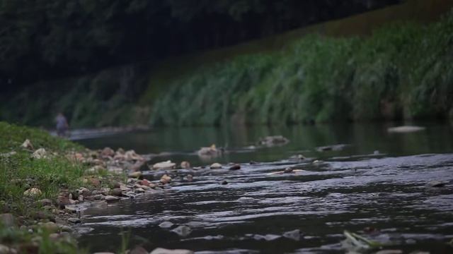 5D Mark II and canon 70-200mmF4 IS смотреть онлайн