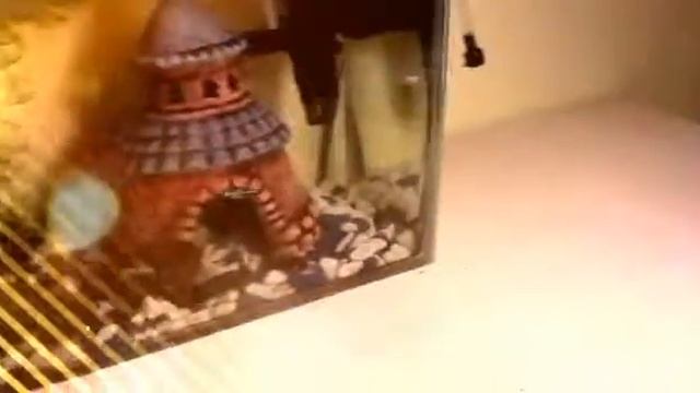 Магнитный скребок для аквариума смотреть онлайн