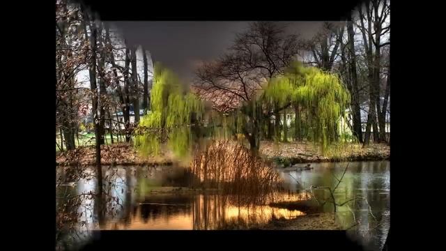 Waltz Of Willows