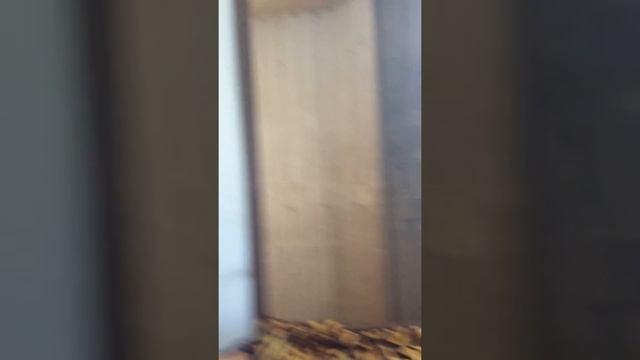 Пластик, угар смотреть онлайн