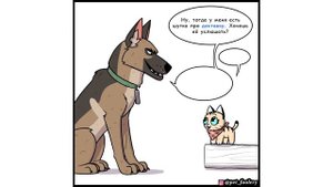 ПИКСИ И БРУТ. ШУТКА) | Мемозг #496