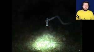 МУЛЬТЯШНАЯ МЫШЬ против ДОЛГОВЯЗОЙ ЛОШАДИ в РЕАЛЬНОЙ ЖИЗНИ ?? МОНСТРЫ Тревора Хендерсона?Страшные SC