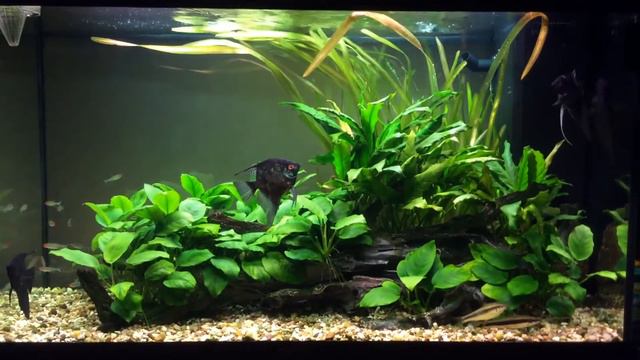 Домашний релакс.... смотреть онлайн