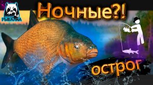 RF4 ИХ ОБОЖАЮТ НОВИЧКИ И НЕ ТОЛЬКО #рр4