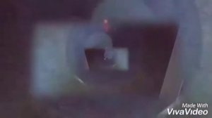 Песня "Лямур тужур" - Song "Lamour toujour"