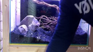 Хардскейп. Запускаем аквариум вместе часть 3. #Хардскейп #Акваскейп. Создаём композицию #Акваберег