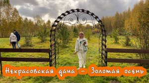 Отдых в России. Ярославль. Где отдохнуть? "Некрасовская дача.