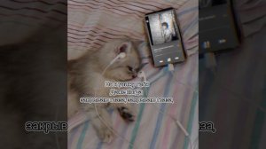 Akha- Закрываю глаза (lyrics/ текст песни)