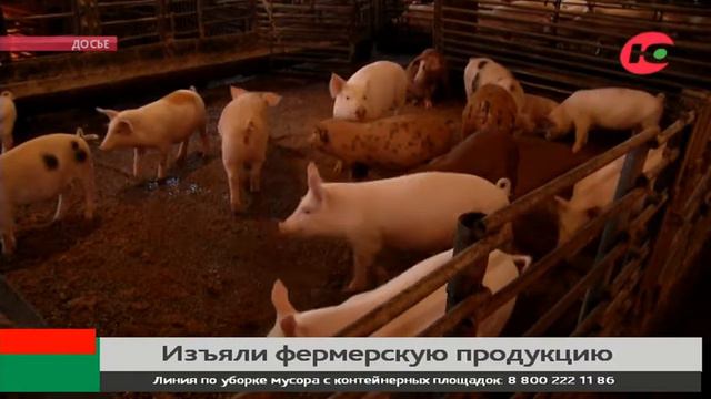 С прилавков Сургута изъяли фермерскую свинину смотреть онлайн