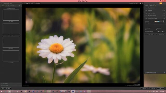 COLOR EFEX PRO смотреть онлайн