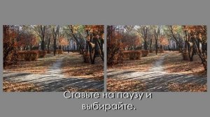 Тест дорогого и дешевого фотоаппарат. Сравнение фотографий.