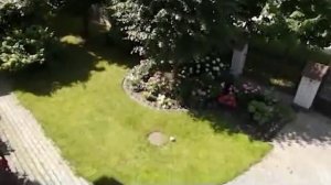 Частный сад Марины Шиманской под Петербургом.