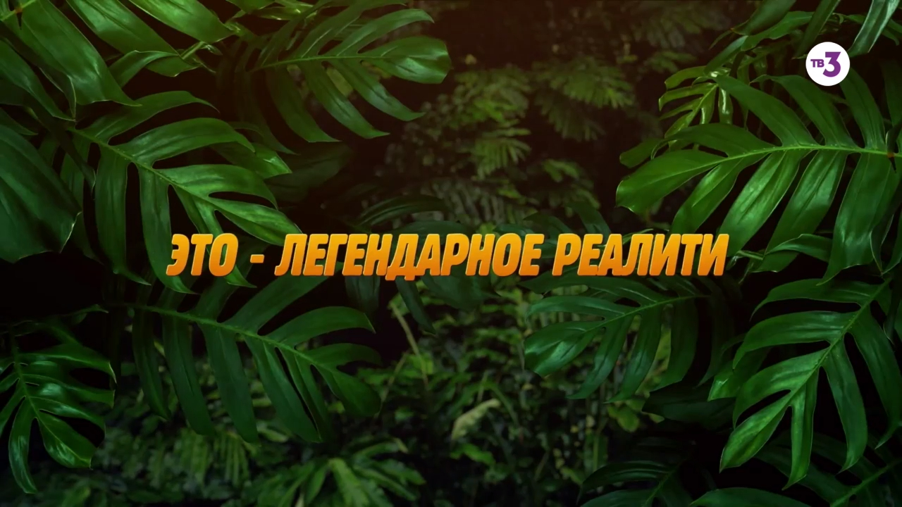 Круче, чем кино! | Последний герой. Зрители против звёзд | с 8 февраля в 19:00 на ТВ-3