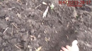 Испытания TIGARBO АДС 6 дискатор