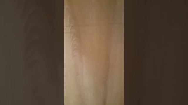 Уличная входная Могилевская дверь