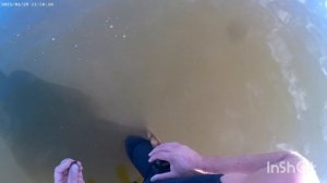 коп на пляже. подводный поиск. поиск золота. nokta makro. Legend.