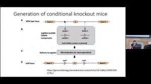 M7 Dr. Natalia Bal "Genetic Engineering in Neurobiology" IHNA/iBRAIN