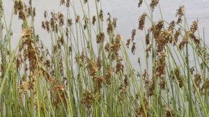 Отдых на Поповском водохранилище 12.07.21.