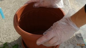 Как сохранить петрушку на зиму свежей - все проще, чем вы думаете