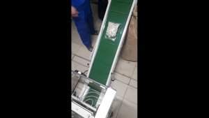 Дозирование и упаковка пельменей в пакет (Линейный весовой дозатор)
