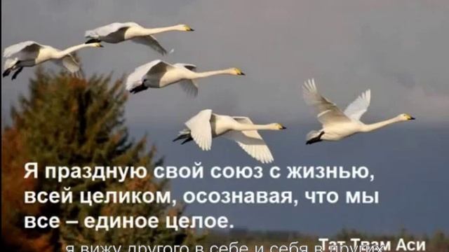 18 День Медитация Жизнь в единстве смотреть онлайн