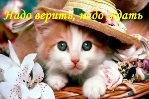 Надо верить, надо ждать