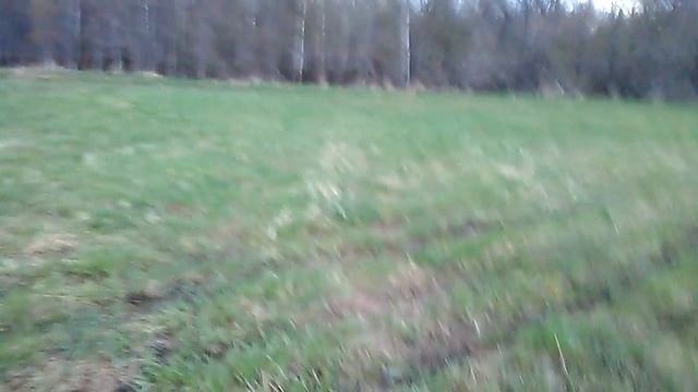 бумеранг из фанеры сделанный своими руками. смотреть онлайн