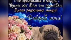 Спокойной ночи и сладких снов.
