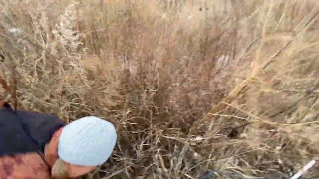 Персик. Укрытие . Формировка. Много других полезностей. Ответы на вопросы участников. смотреть онлайн