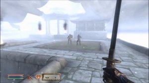 The elder scrolls 4 Oblivion:Pano des lames