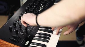 Korg Prologue Analogue Synthesizer | First Look with Luke Edwards