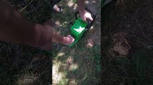 Заводим бензопилу ( Говорим как правильно заводить пилу )