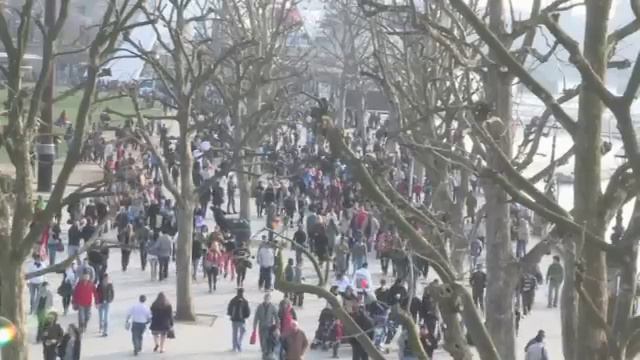 LSF Film Entry - Georgina Bloomfield смотреть онлайн