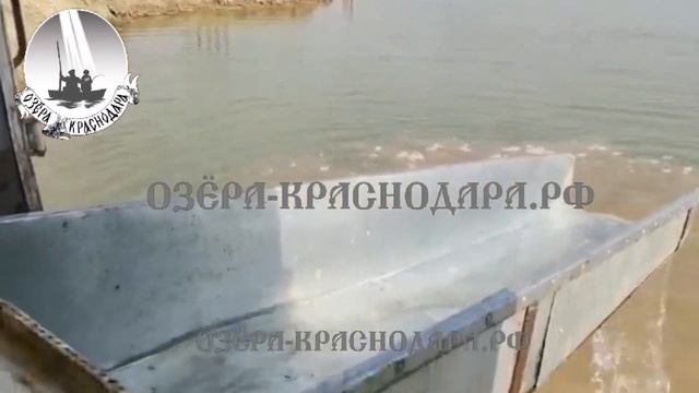 Краснодарские Озера | Платная рыблака 24 | смотреть онлайн