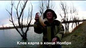 Жор карпа в конце ноября. Рыбалка в Краснодаре.