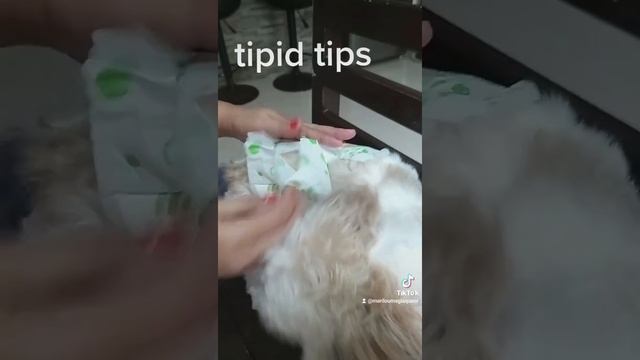 TIPID TIPS AT DAHIL MAHAL ANG DIAPER NG DOG, DIAPER NG TAO ANG GAMIT KO смотреть онлайн