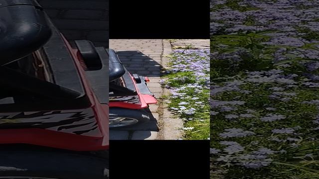 Блондинка за рулём смотреть онлайн