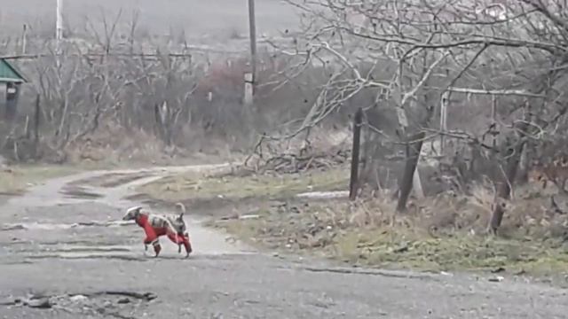 #друзья#младшие#прекрасные# смотреть онлайн