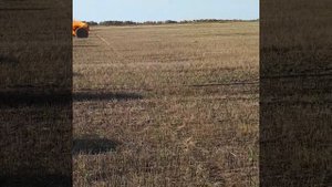 уборка соломы льна