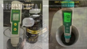 02 | Что такое Чёрный мёд? Его состав. Удивительные свойства Сапропеля (Чёрный мёд)
